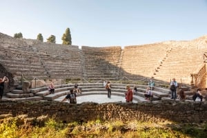 Da Roma: Escursione guidata di un giorno a Pompei e al Vesuvio con pranzo