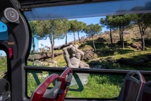 Da Roma: Escursione guidata di un giorno a Pompei e al Vesuvio con pranzo
