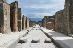 Da Roma: Escursione guidata di un giorno a Pompei e al Vesuvio con pranzo