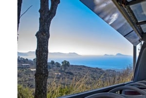 Da Roma: Escursione guidata di un giorno a Pompei e al Vesuvio con pranzo