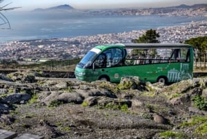 Da Roma: Escursione guidata di un giorno a Pompei e al Vesuvio con pranzo