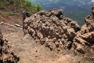 Da Roma: Escursione guidata di un giorno a Pompei e al Vesuvio con pranzo