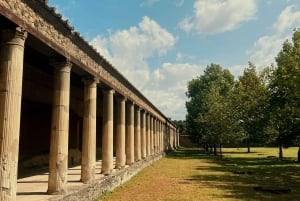 Da Roma: Escursione guidata di un giorno a Pompei e al Vesuvio con pranzo