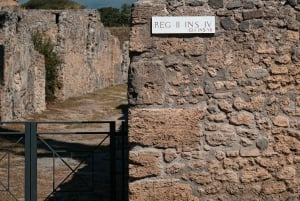 Da Roma: Escursione guidata di un giorno a Pompei e al Vesuvio con pranzo