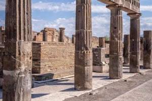 Da Roma: Escursione guidata di un giorno a Pompei e al Vesuvio con pranzo