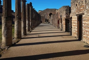 Da Roma: Escursione guidata di un giorno a Pompei e al Vesuvio con pranzo