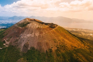 Da Roma: Esperienza di Pompei e del cratere del Vesuvio con pranzo