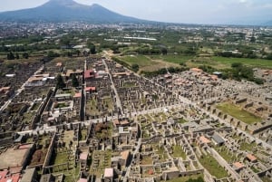 Da Roma: Esperienza di Pompei e del cratere del Vesuvio con pranzo