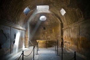 Da Roma: Esperienza di Pompei e del cratere del Vesuvio con pranzo