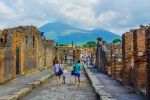 Från Rom: Pompeji & Neapel Privat dagsutflykt