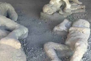 Z Rzymu: Pompeje, Positano i wycieczka 1-dniowa na Wybrzeże Amalfi