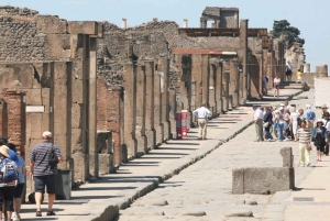Z Rzymu: Pompeje, Positano i wycieczka 1-dniowa na Wybrzeże Amalfi