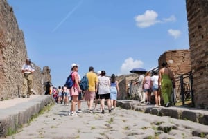 Vanuit Rome: Pompeii Ruïnes Tour met deskundige gids & snelle trein