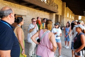Vanuit Rome: Pompeii Ruïnes Tour met deskundige gids & snelle trein