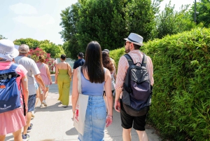 Fra Rom: Pompeji-ruinerne med ekspertguide og hurtigtog