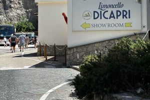 From Rome: Pompeii, Sorrento Day Trip & Colosseum Ticket