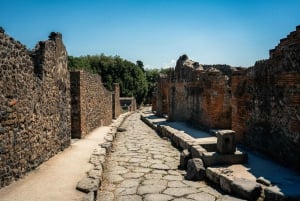 Z Rzymu: Pompeje z archeologiem i lunch w Sorrento