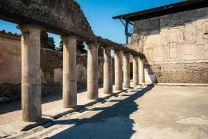 Z Rzymu: Pompeje z archeologiem i lunch w Sorrento