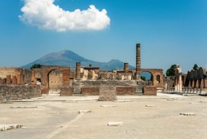 Z Rzymu: Pompeje z archeologiem i lunch w Sorrento
