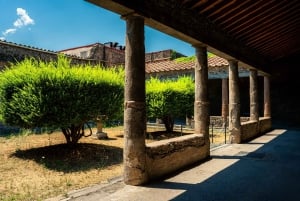 Z Rzymu: Pompeje z archeologiem i lunch w Sorrento