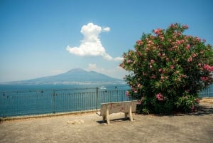 Z Rzymu: Pompeje z archeologiem i lunch w Sorrento