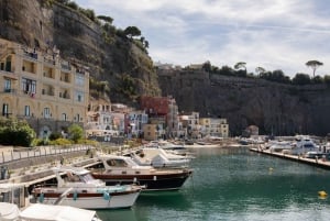 Z Rzymu: Pompeje z archeologiem i lunch w Sorrento