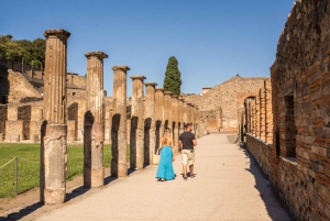 Z Rzymu: Pompeje z archeologiem i lunch w Sorrento