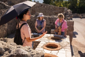 Z Rzymu: Pompeje z archeologiem i lunch w Sorrento