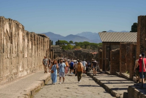 Z Rzymu: Pompeje z archeologiem i lunch w Sorrento