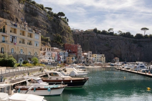 Z Rzymu: Pompeje z archeologiem i lunch w Sorrento