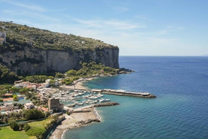 Z Rzymu: Pompeje z archeologiem i lunch w Sorrento