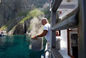 Ponza Island Day Trip with Boat Excursion