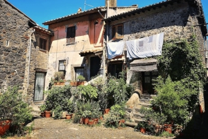 Från Rom: Privat dagsutflykt till Bracciano, Caprarola och Viterbo