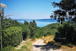 Från Rom: Privat dagsutflykt till Bracciano, Caprarola och Viterbo