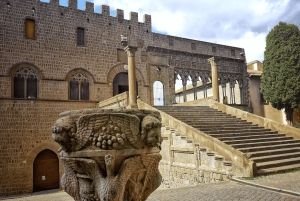 Från Rom: Privat dagsutflykt till Bracciano, Caprarola och Viterbo