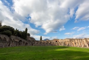 From Rome: Round-Trip Transfer to Pompeii and its Ruins