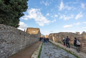 From Rome: Round-Trip Transfer to Pompeii and its Ruins