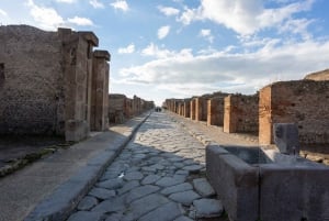From Rome: Round-Trip Transfer to Pompeii and its Ruins