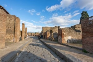 From Rome: Round-Trip Transfer to Pompeii and its Ruins