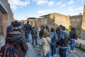 From Rome: Sorrento & Pompeii Day Tour with Hotel Pickup