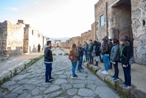 From Rome: Sorrento & Pompeii Day Tour with Hotel Pickup