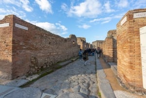 From Rome: Sorrento & Pompeii Day Tour with Hotel Pickup