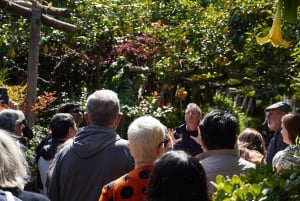 Desde Roma: excursión de un día a Sorrento y Pompeya con guía o ticket de entrada