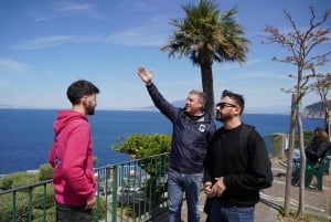Desde Roma: excursión de un día a Sorrento y Pompeya con guía o ticket de entrada