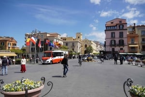 Desde Roma: excursión de un día a Sorrento y Pompeya con guía o ticket de entrada