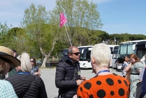 Desde Roma: excursión de un día a Sorrento y Pompeya con guía o ticket de entrada