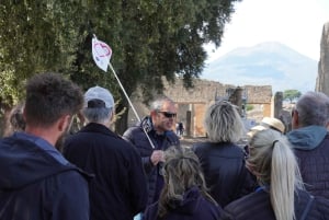 Desde Roma: excursión de un día a Sorrento y Pompeya con guía o ticket de entrada
