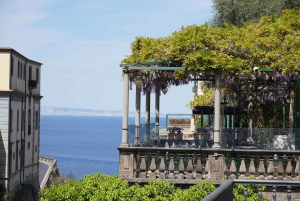 From Rome: Sorrento & Pompeii Day Trip with Guide or Ticket