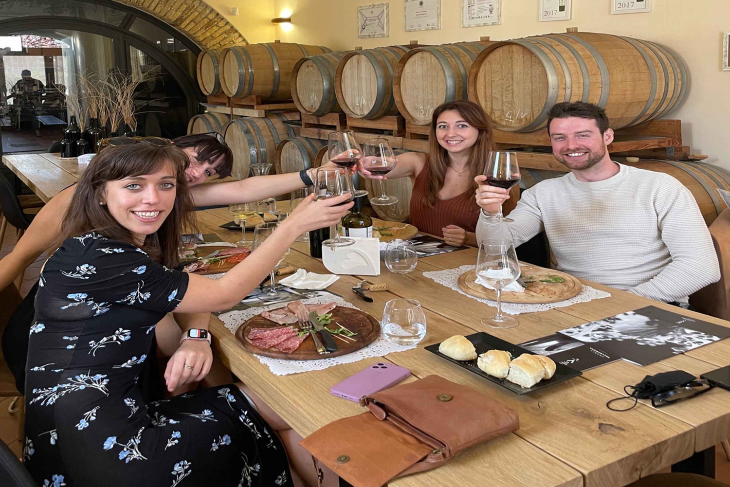 From Rome: tasting tour in cellar immersed between vineyards