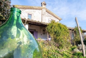 Fra Roma: Termiske kilder, lunsj på gård og dagstur til landsby